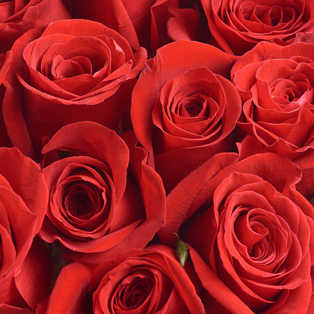 Bouquet of 25 Red Roses in a peach package