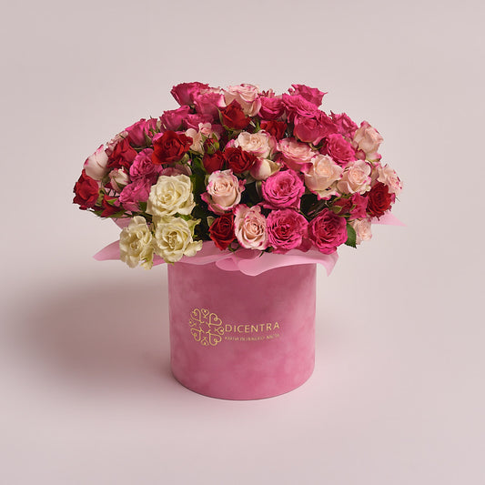 Box 15 Spray roses Mix