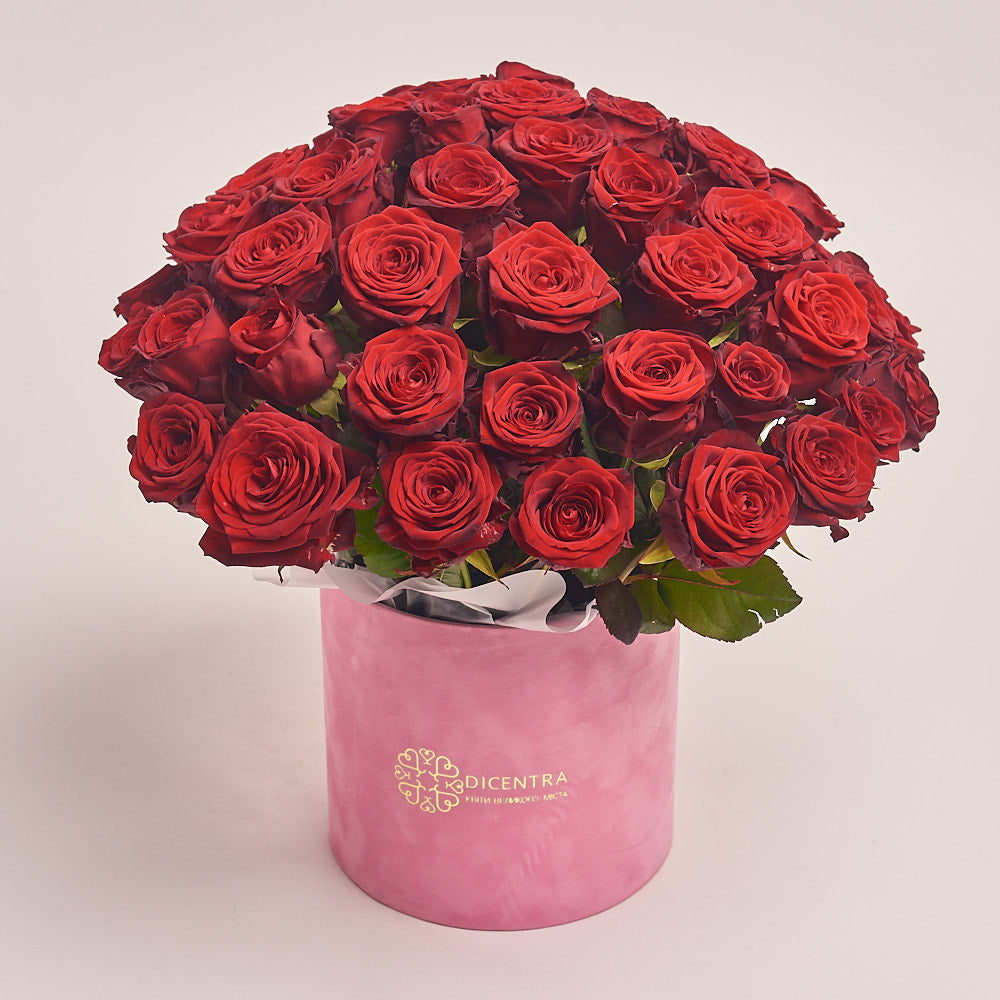 Box 51 Red Rose Extra