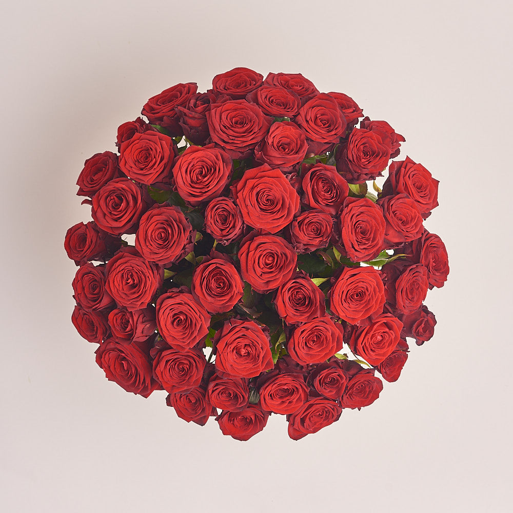 Box 51 Red Rose Extra