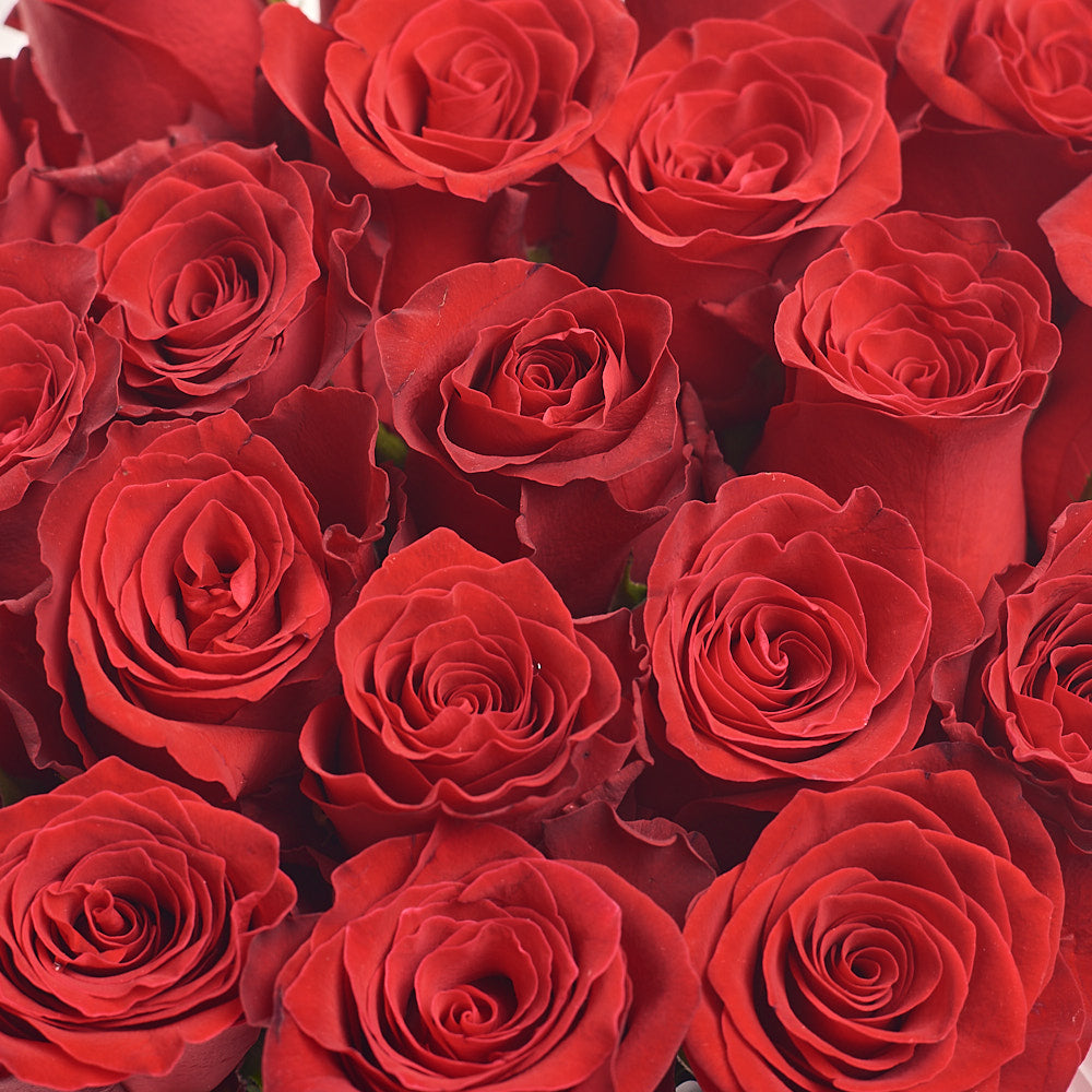 Box 21 rose Rhodes