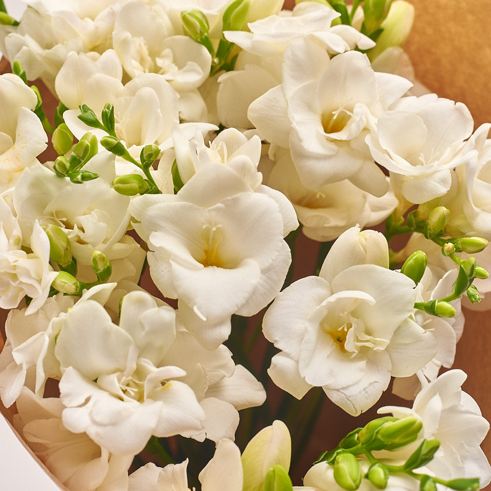 Bouquet of 15 White Fries