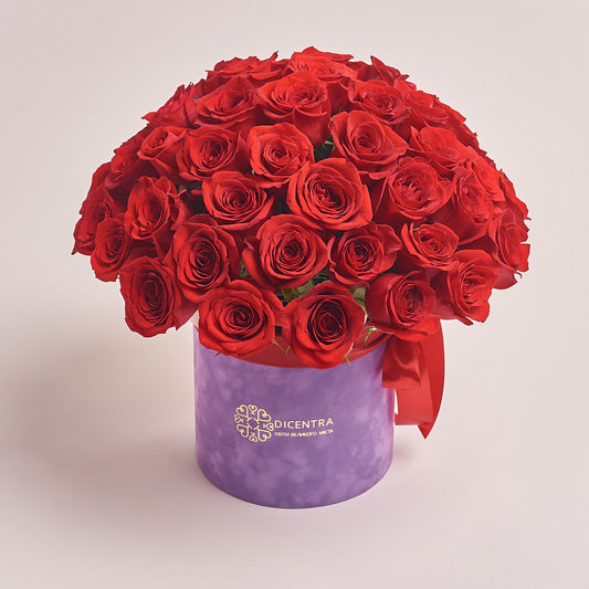 Box 51 Red Rose Grand Prix