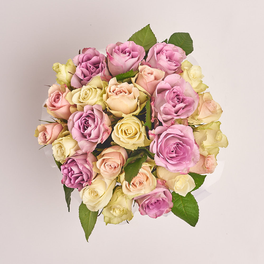 Box 25 Rose mix Athena and Memorial